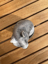 Lade das Bild in den Galerie-Viewer, urne pour hamster vue du dessus