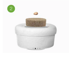 Lade das Bild in den Galerie-Viewer, urne bios etapes
