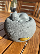 Lade das Bild in den Galerie-Viewer, urne chat resine grise
